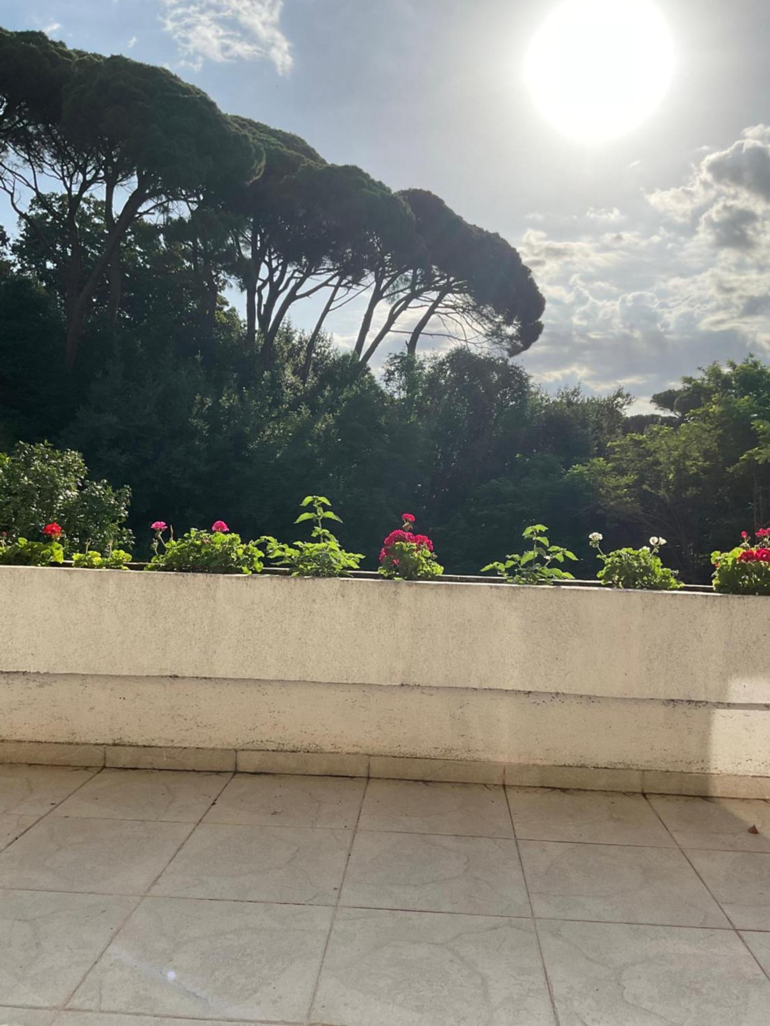 Villa Monte Boutique Apartments In Herceg Novi Dış mekan fotoğraf