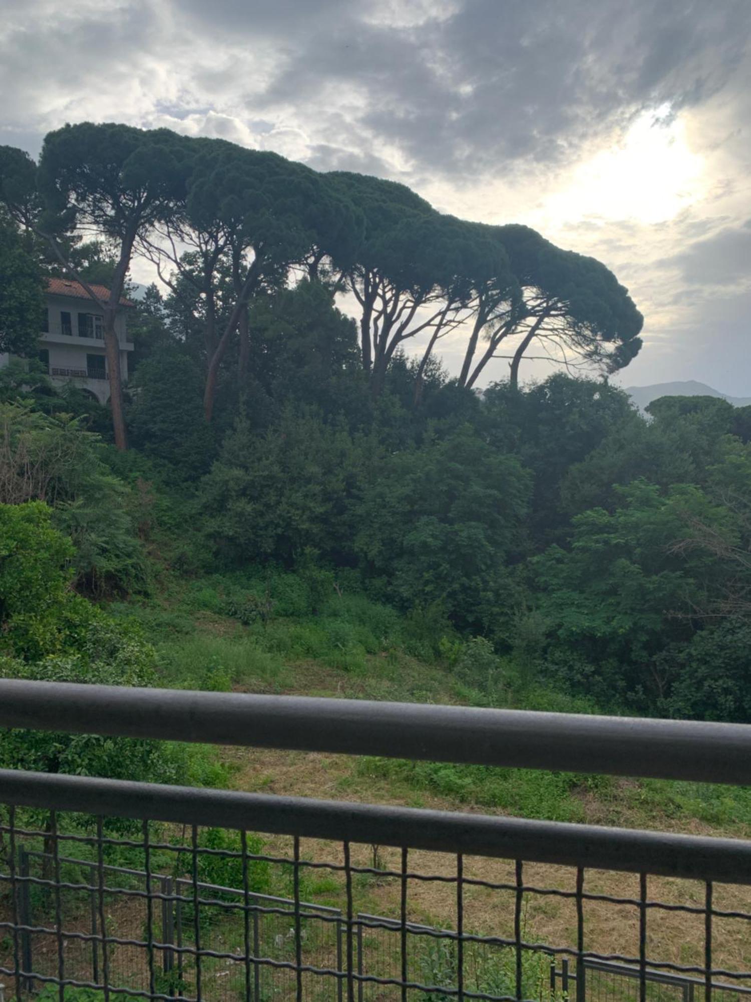 Villa Monte Boutique Apartments In Herceg Novi Dış mekan fotoğraf