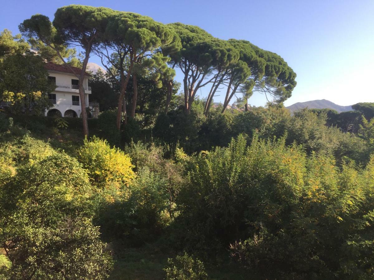 Villa Monte Boutique Apartments In Herceg Novi Dış mekan fotoğraf